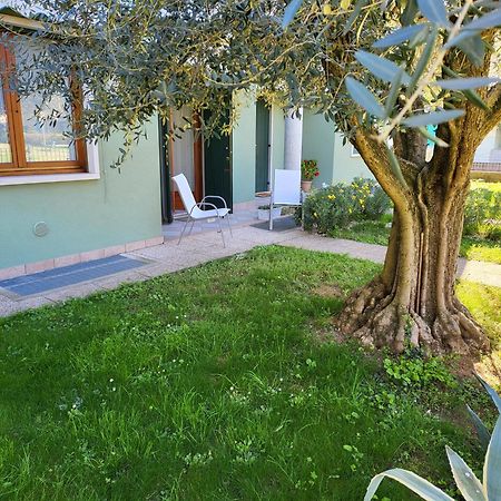 明乔河畔的瓦雷奇奥La Casa Sul Parco公寓 外观 照片